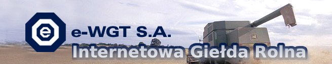 Warszawska Giełda Towarowa