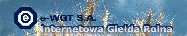 Warszawska Giełda Towarowa