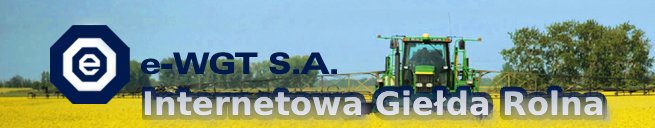Warszawska Giełda Towarowa
